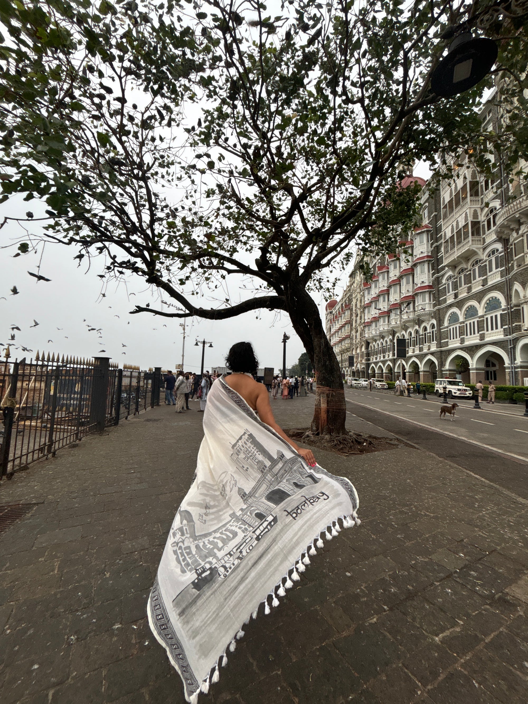 The Bombay Sari